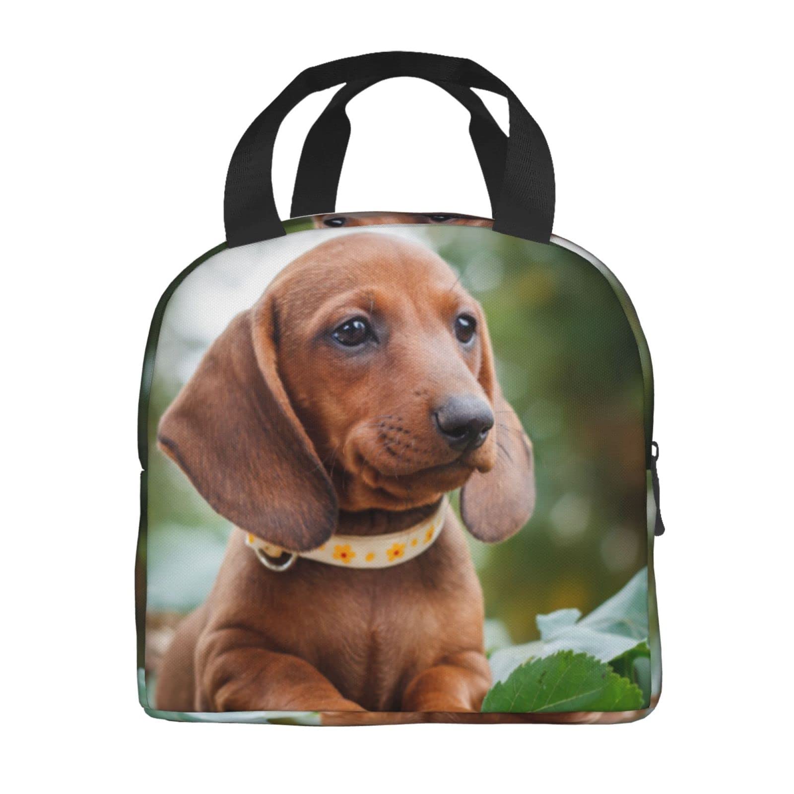 Amazon｜可愛いダックスフントの子犬 保温 保冷ランチバッグ お弁当袋